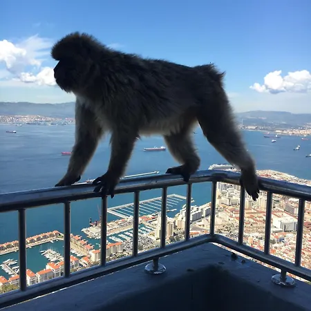 公寓 Duquesa 2 Bed With Sea And Golf Views And 5 Pools